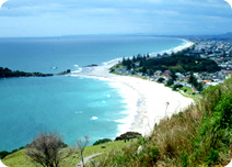 Tauranga Tauranga